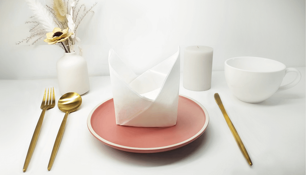 fancy napkin folding guide