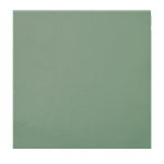 light-green paper napkin