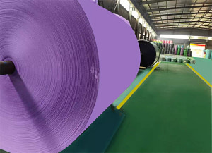 violet jombo roll in paper factory