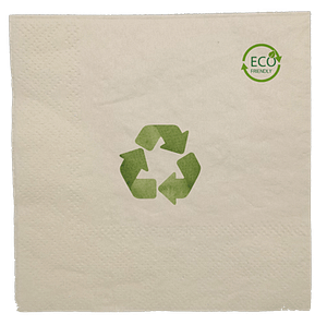 recyclable paper napkin e1679301643666