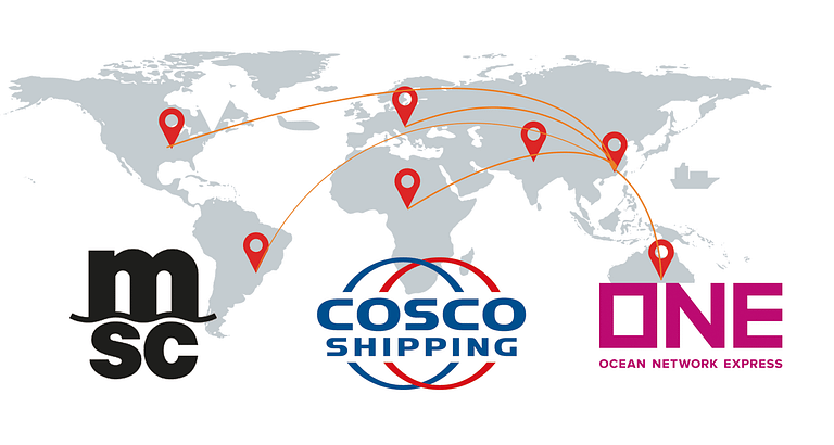 international business network and shipping company we cooperated