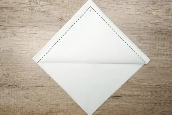 napkin folding 1