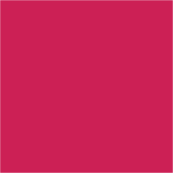 Pantone Rubine Red 2XC